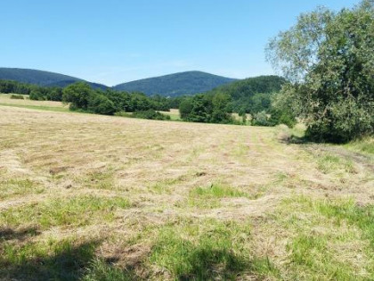 Działka budowlana Kobielnik gm. Wiśniowa