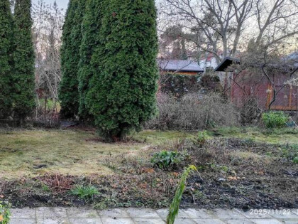 Działka rekreacyjna ROD