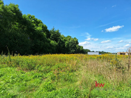 Działka budowlana Murzynowo gm. Skwierzyna,