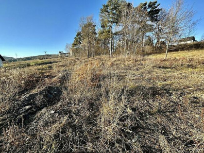 POLECAMY! 124G Trzetrzewina gmina Chełmiec, działka budowlan