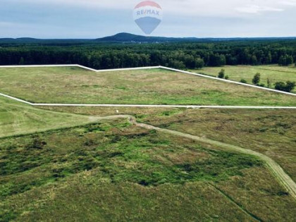 Działka rolna - Smołdziński Las