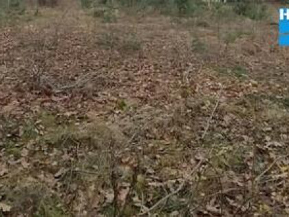 Owczarnia, kształtna działka 1677m2