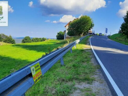 Zieleniec - działka 0,5 ha z warunkami zabudowy na 10 domków