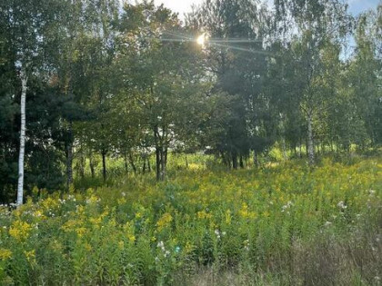 Duża działka z warunkami zabudowy na 5 domów w otulinie lasó