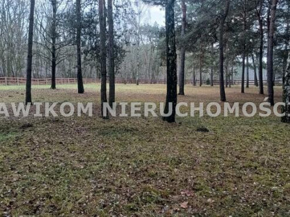 Działka leśna Puszcza Mariańska