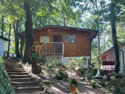 Dom Jarosławki gm. Książ Wielkopolski,