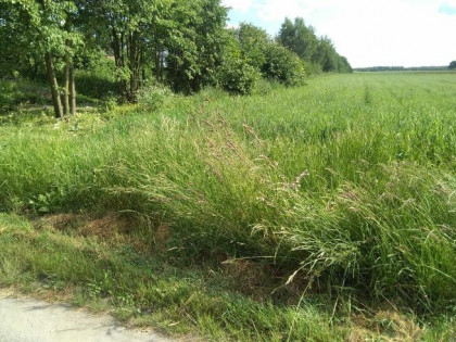 sprzedam działkę budowlaną