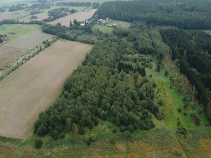 Obniżka ceny!Działka koło Wolina - dawnym szlakiem Wikingów!