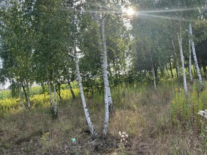 Działka budowlana 3 km od pięknego zalewu