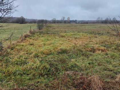 Sprzedam łąki z dostępem do rzeki Narewka