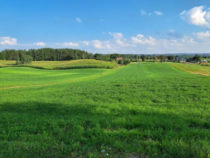 Gospodarstwo rolne (aktualny MPZP)