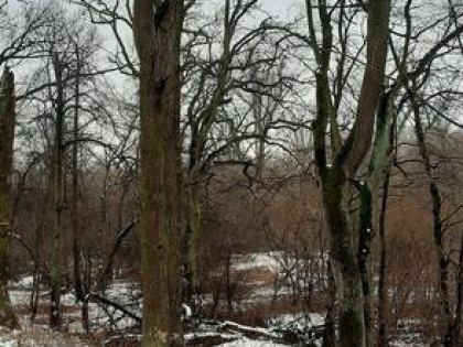 Działka budowlana Józefów