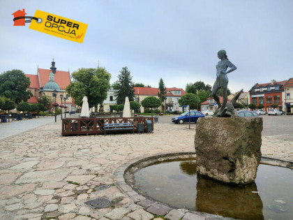 Lokal użytkowy Niepołomice,