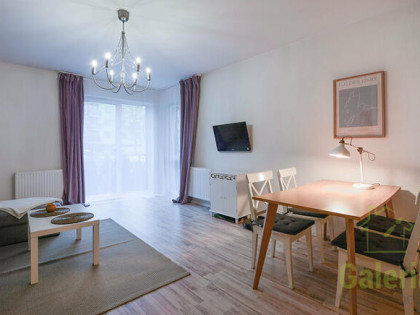 Mieszkanie z ogródkiem na wynajem! Gumieńce