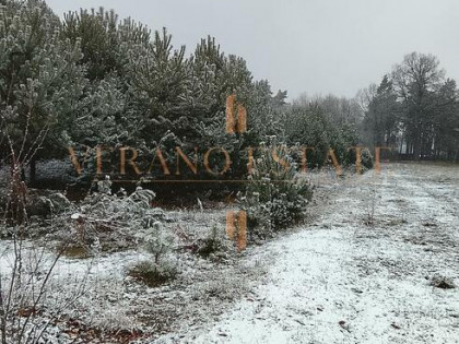 Atrakcyjna działka budowlana 3600 m² - Groszowice