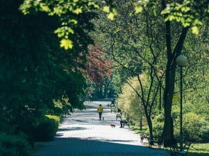 Warszawa Śródmieście Powiśle 3 pokojowe