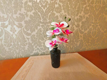 Storczykowe Love z widokiem na park