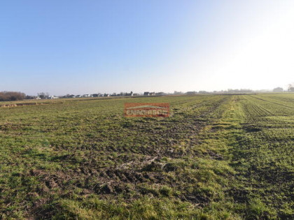 1,018 ha pod inwestycję jednorodzinną- Kraków