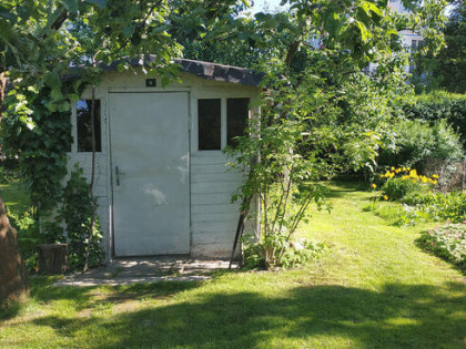 Odstąpię prawo do działki ROD