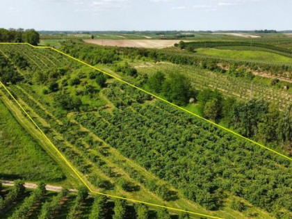 Działki budowlane, rolne - Sandomierz Poscaleniowy