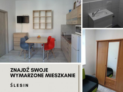 WYNAJMĘ MIESZKANIE W CENTRUM ŚLESINA