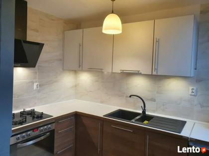 Do wynajęcia mieszkanie w Czeladzi