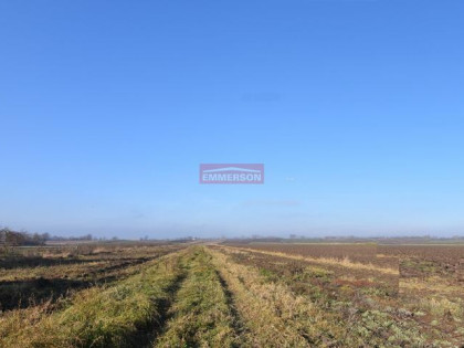 1,55 ha pod inwestycję jednorodzinną- Kraków-Nowa