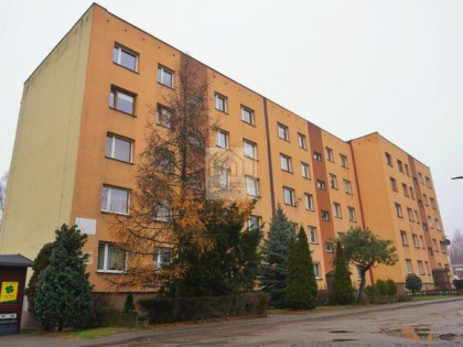 Mieszkanie Wojkowice, Plaka