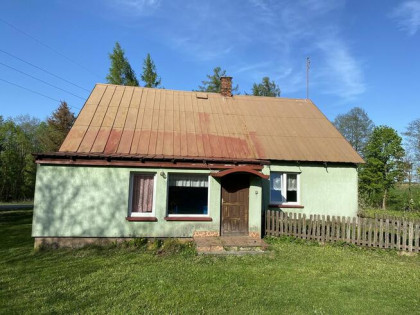 Sprzedam lub wynajmę siedlisko z dużą działką