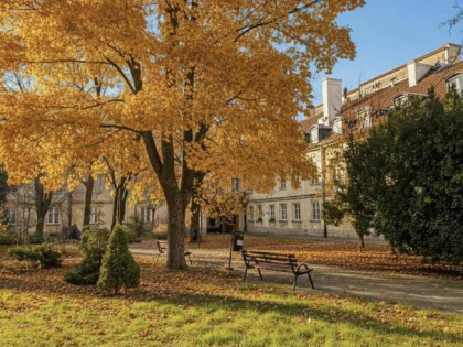 Mieszkanie Warszawa gm. Śródmieście Śródmieście, Trębacka