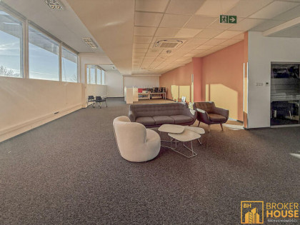 Lokal użytkowy Opole