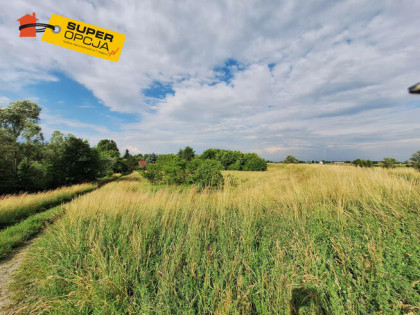 Działka rolna Kraków gm. Kraków-Nowa Huta Nowa Huta, Nadwodna