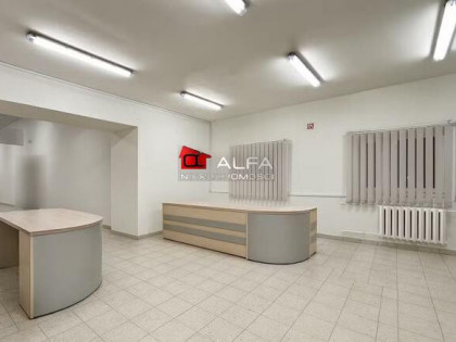 Lokal użytkowy Świdnica, Świdnica