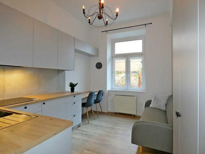 Wynajmę jasna kawalerka, pet friendly, Św. Kingi 3