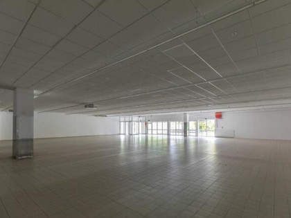 Lokal użytkowy Kraśnik,