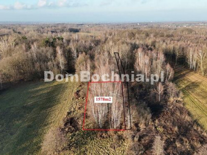 Działka leśna Jodłówka gm. Rzezawa