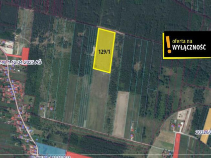 Działka rolna Jasień gm. Chmielnik,