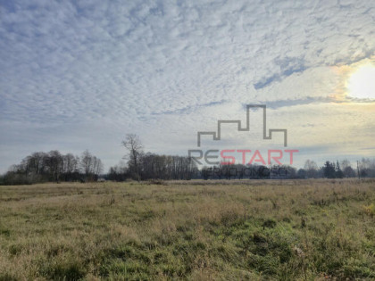 Działka budowlana Budy Zosine gm. Jaktorów,