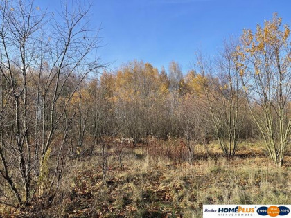 Działka budowlana 5428 m² Słupno – wszystkie media