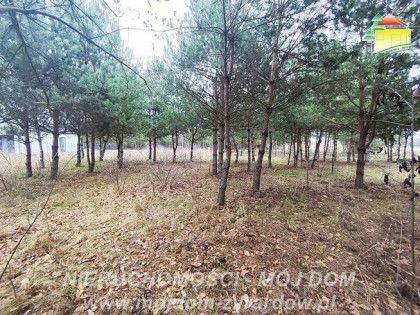Działka budowlana Zboiska gm. Radziejowice