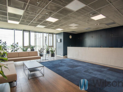 Lokal użytkowy Warszawa gm. Mokotów Mokotów, Służewiec, Domaniewska