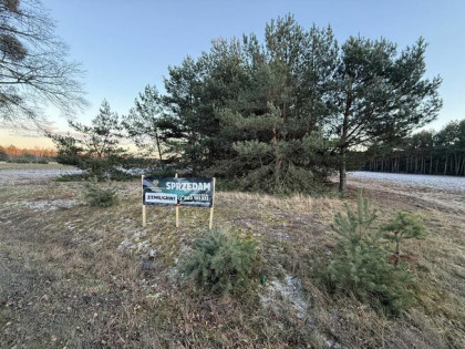 OFERTA SPRZEDAŻY DZIAŁEK – JÓZEFOWO, GMINA SŁUPCA