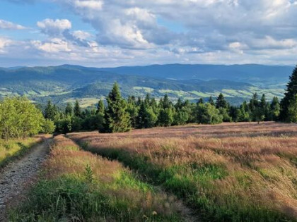 Działka inwestycyjna Wilczyce gm. Dobra