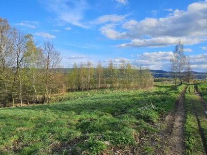 Działka rolna Gilowice