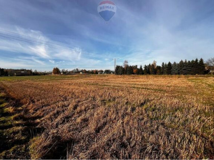 Bestwinka - 5 działek budowlanych