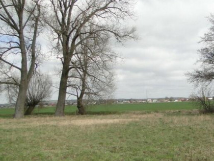 Działka budowlana w Gorzowie Wielkopolskim