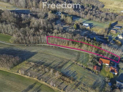 Zadrzewiona działka z widokiem – Błędowa Tycz