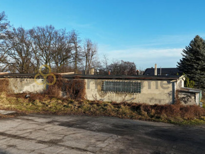 Lokal użytkowy Głogów,