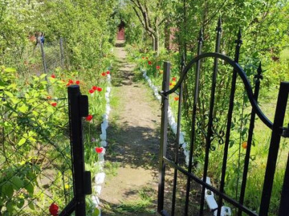 Sprzedam działkę ROD.