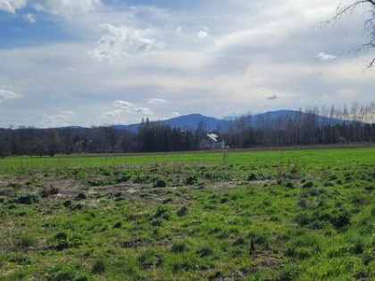 działka w Moszczance przy drodze asfaltowej